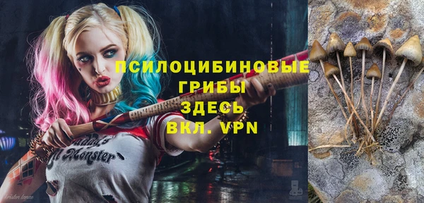 мдпв Кулебаки
