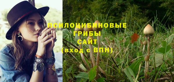 гидропоника Кукмор