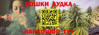 амф Кандалакша