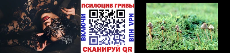 купить закладку  Ульяновск  Псилоцибиновые грибы MAGIC MUSHROOMS 