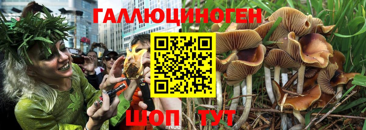 Конопля  Кокаин  Ульяновск  XTC  Альфа ПВП  Вход с VPN  Кислота  ГАШИШ  Мяу-Мяу 