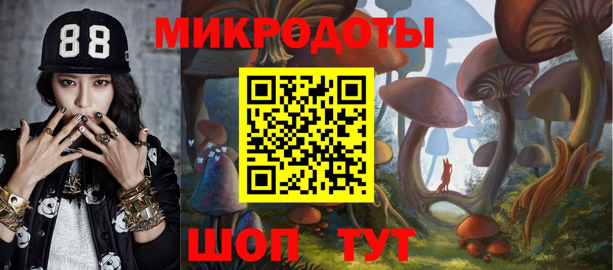 Псилоцибиновые грибы Psilocybe Ульяновск